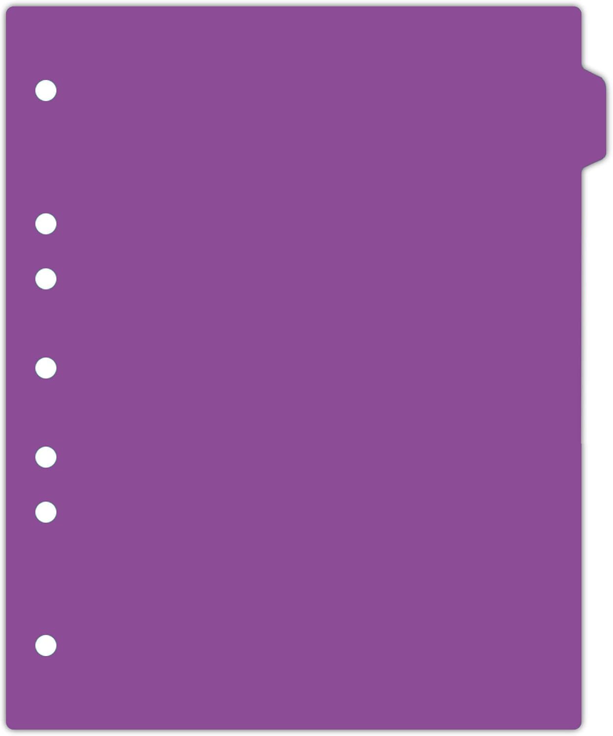 Carstens - Heavy Duty Plastic Ring Binder Dividers, Side Tab, 1/9 Cut, Tab 2 Position, US Letter, Purple, Pack of 10, (2618-22) - Ideal Medical Chart Dividers or Index Tabs for 3 Ring Binders