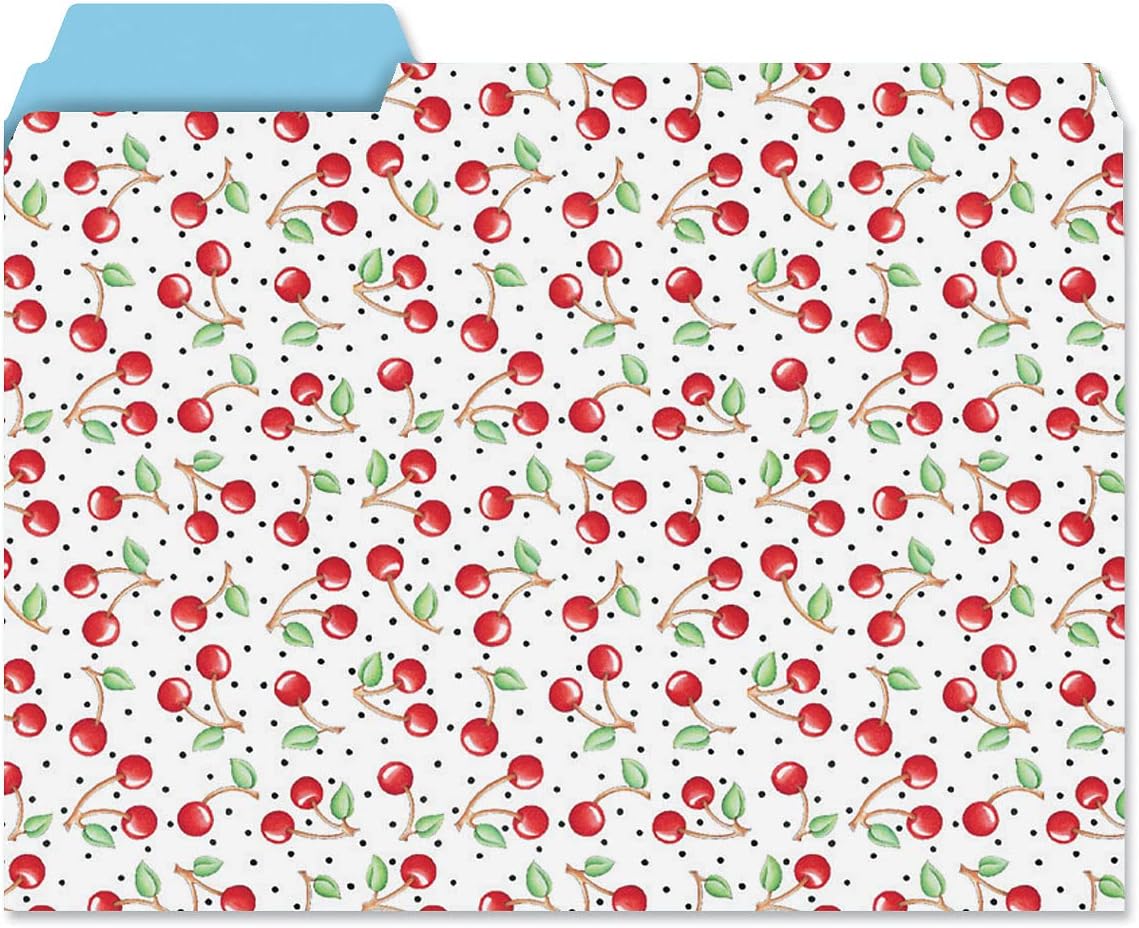 Current Mary Engelbreit File Folders Value Pack - Bulk Set of 24, 6 Pretty Decorative Designs, 1/3 Cut Tabs, Heavy-Duty Paper Stock, Office Supplies for Home & Work, 9-½” x 11-¾” Letter Size