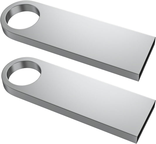 ABLAZE 1GB Flash Drive 2 Pack, Metal USB 2.0 Thumb Drives with Keychains USB Stick Pendrive (Sliver)