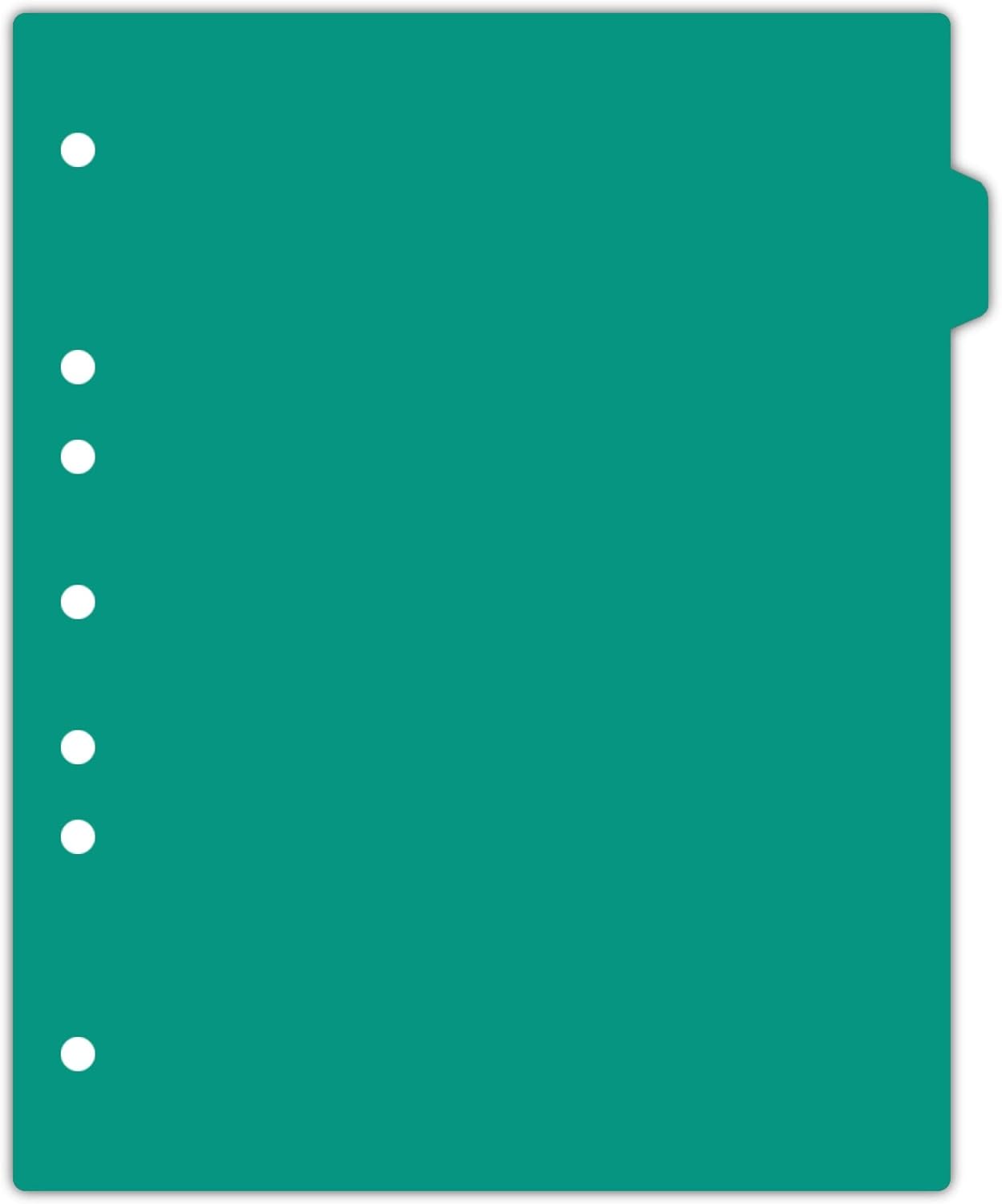Carstens - Heavy Duty Plastic Ring Binder Dividers, Side Tab, 1/9 Cut, Tab 2 Position, US Letter, Turquoise, Case of 50, (2618-02CS) - Ideal Medical Chart Dividers or Index Tabs for 3 Ring Binders