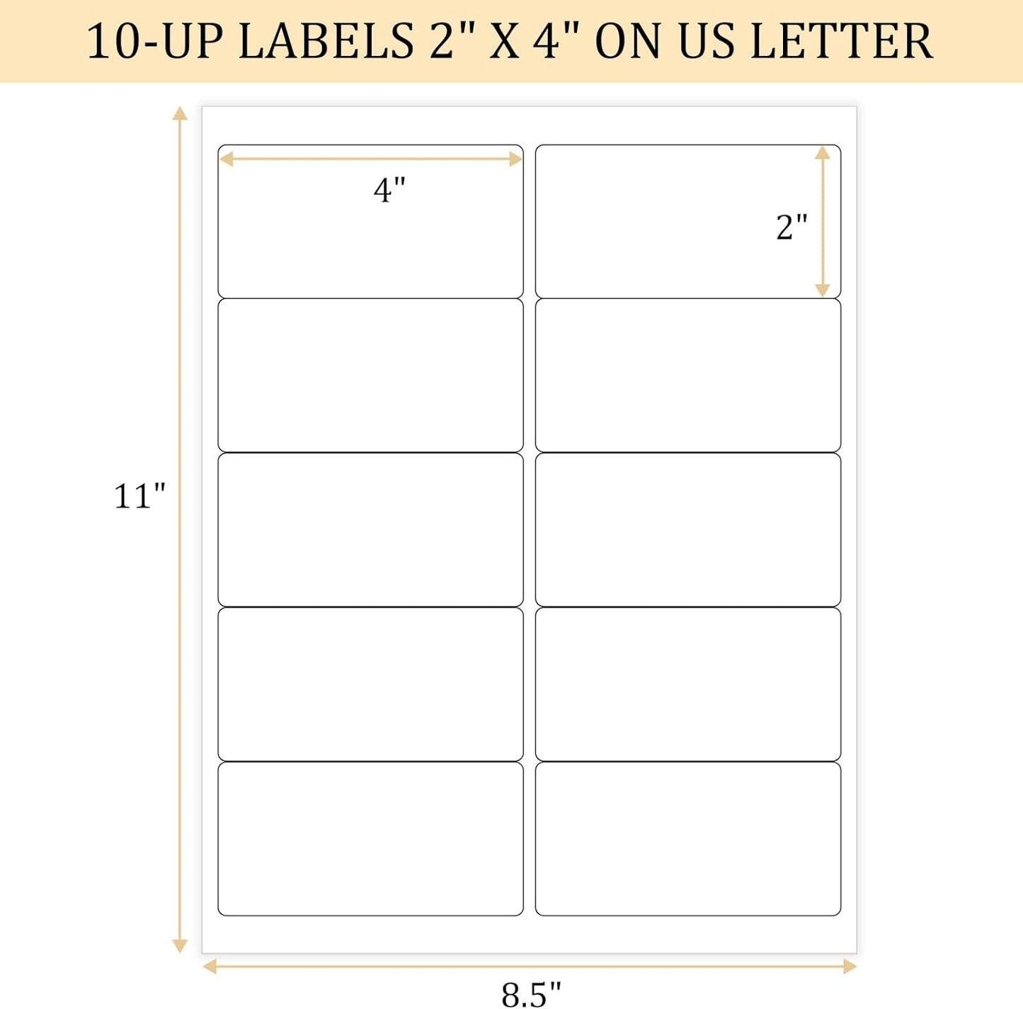 FungLam 2x4 Shipping Address Labels for Laser & Inkjet Printers, 300 Printable White Sticker Labels, 10 per Page Mailing Labels, Permanent Adhesive (30 Sheets, 300 Labels)