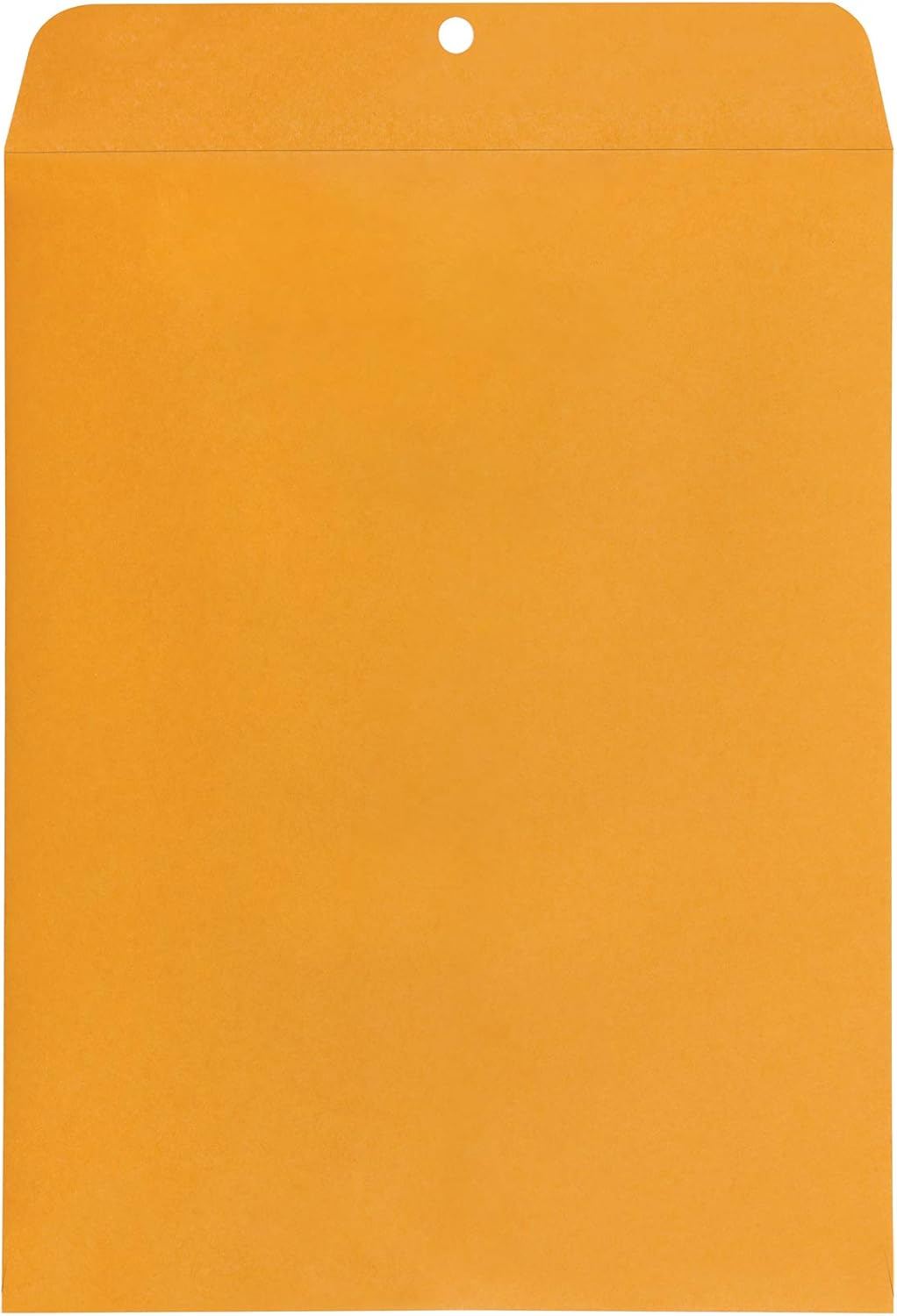 Amazon Basics Clasp Kraft Envelopes, Gummed Mailing Envelope, 10 x 13 inch, 100-Pack