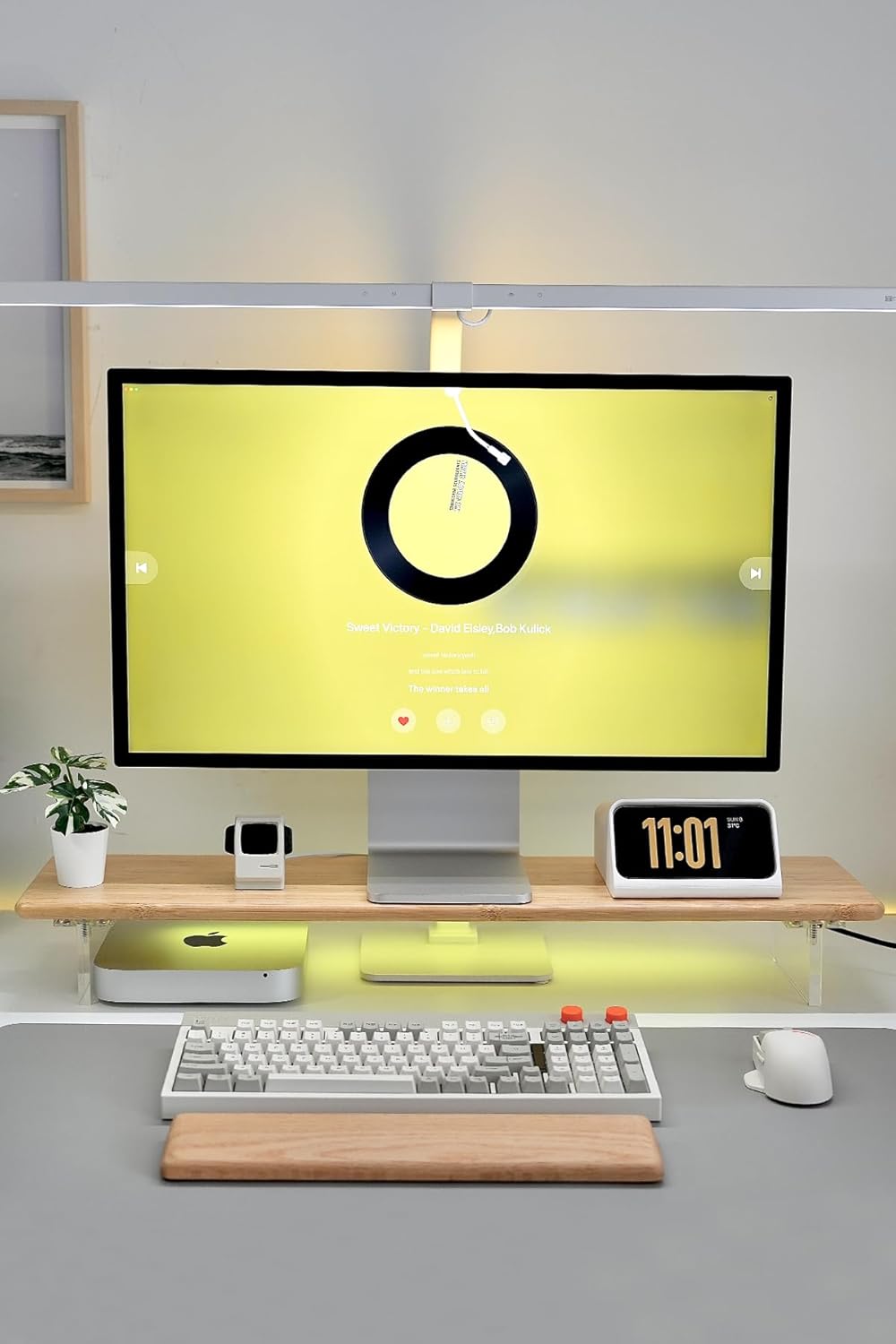 Bamboo Monitor Stand Riser with RGB Lights,31.5 Inches Desktop Shelf with Acrylic Legs Supports for Desk, PC Computer Monitor, Laptops, Printer, Speakers (Natural)