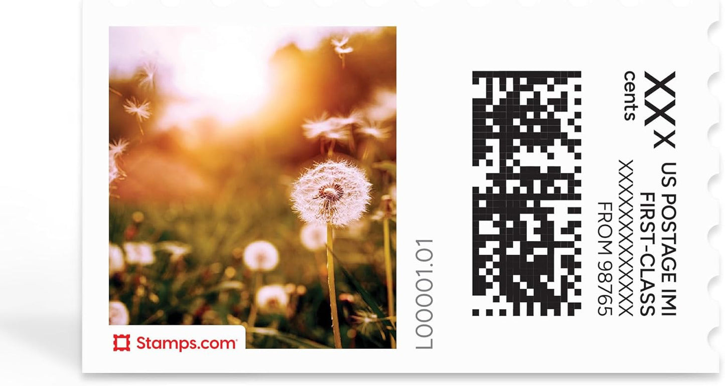 Dandelion Wishes NetStamps 120-Pack (5 Sheets) Printable Postage Labels (Stamps.com Subscription Required) - Print Approved Postage - Inkjet & Laser Printers - Business, Personal, Home
