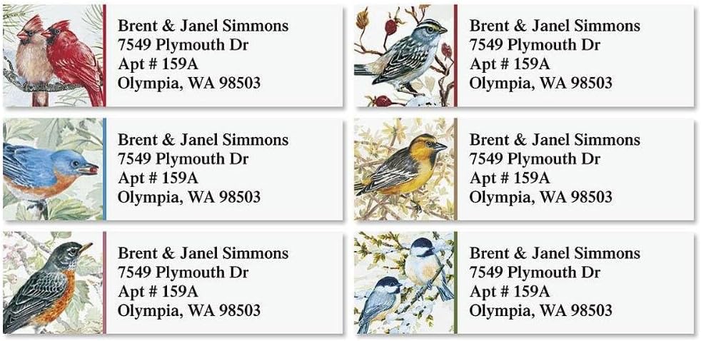 Colorful Images Garden Friends Birds Return Address Mailing Labels, Personalize with Name & Addresses, Set of 240 Self Adhesive, Easy Peel Flat Label Sheets, ⅝ x 2”, 6 Designs