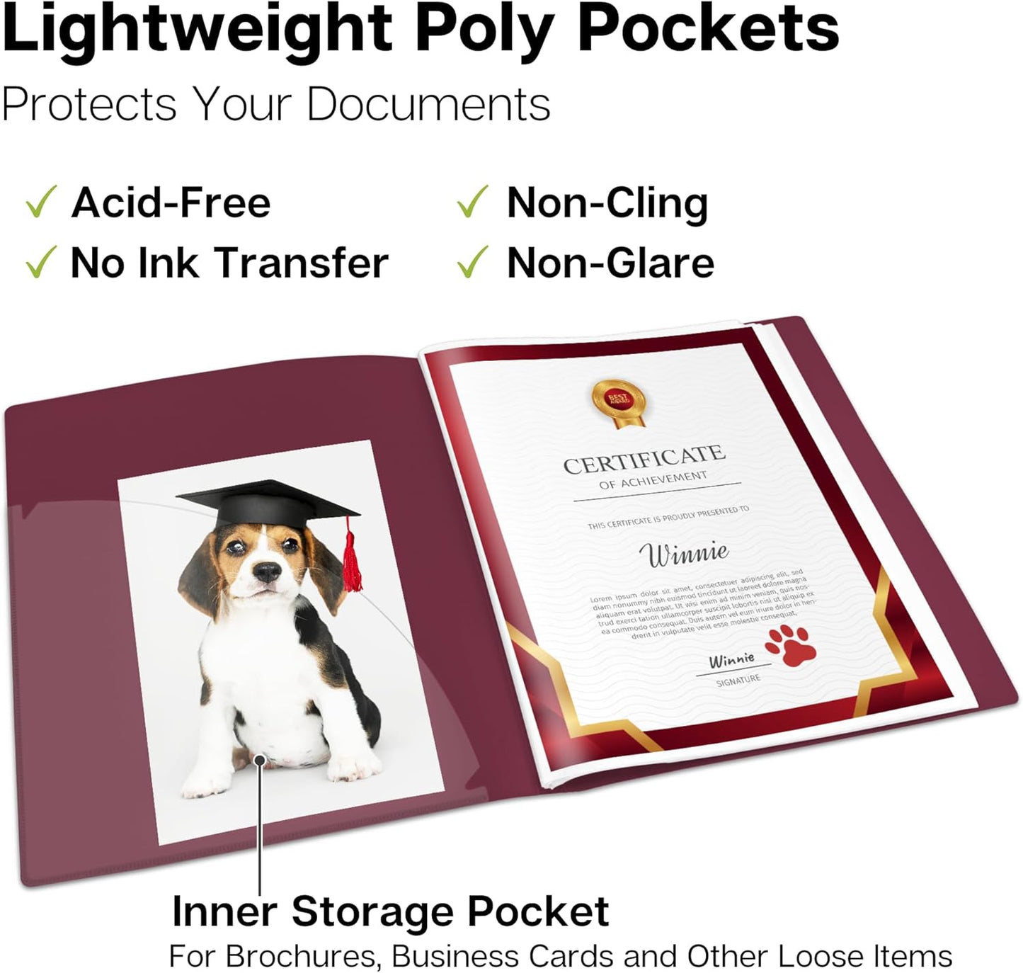 Dunwell Presentation Binder 12-Pocket, Displays 24 Pages, 8.5x11 Portfolio Binder with Plastic Sleeves, Storage and Organizer for Documents, Certificates, Projects, Photos (Ruby)