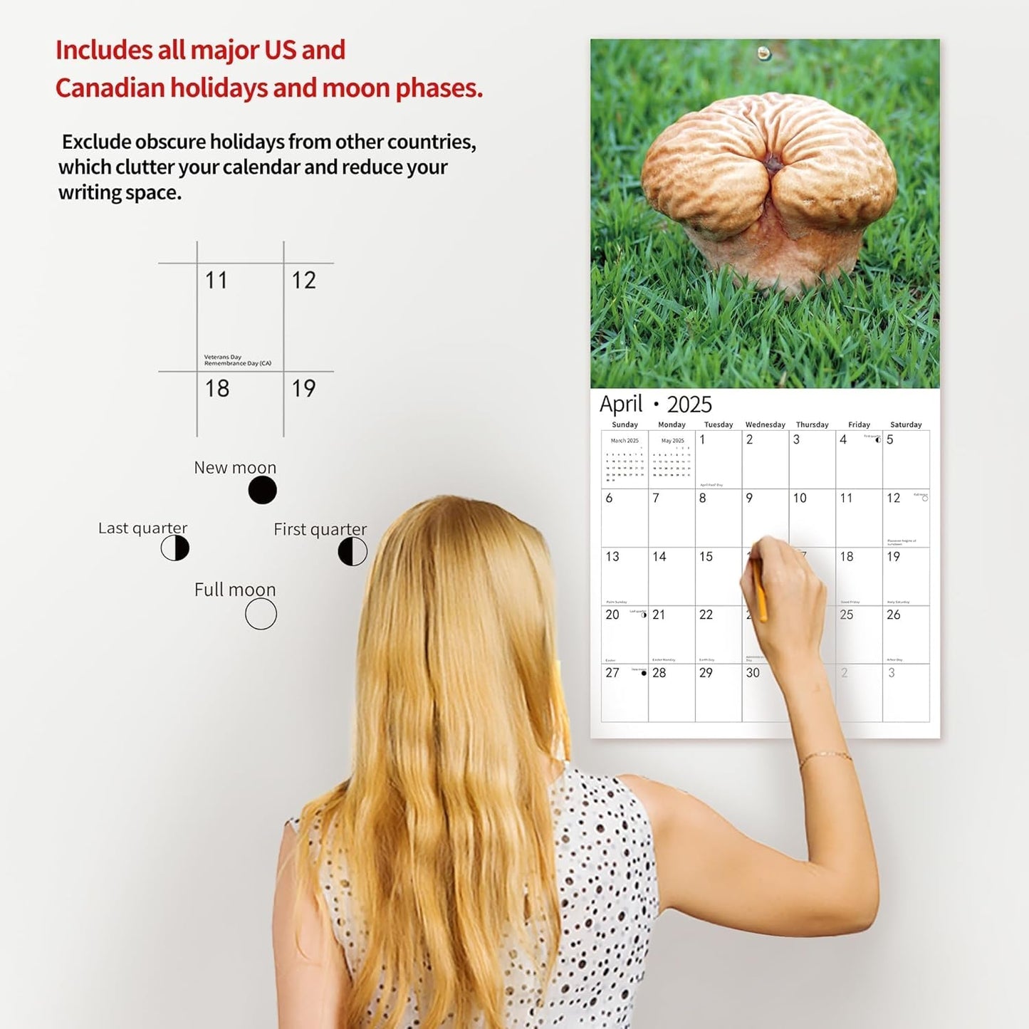 2025 Wall Calendar Funny Natures Dongs, January 2025 - December 2025, Funny Gag Gift for Adults, White Elephant Gift, 12 Months Organizer with D'ck Pics Nature Photos, 12" x 24" Opened