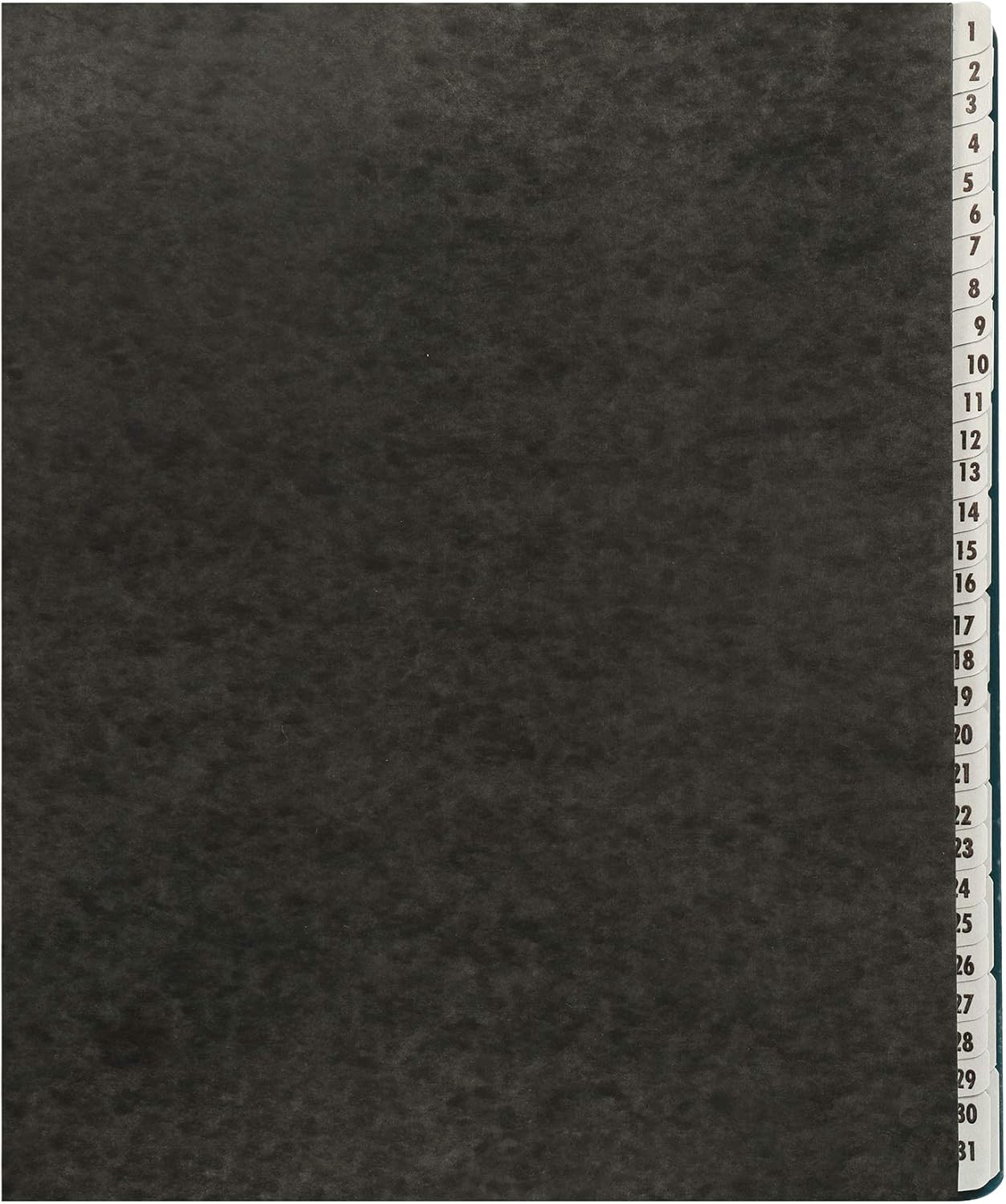 Amazon Basics Expanable Office File Sorter,Daily & Monthly File Organizer, Letter Size, Black