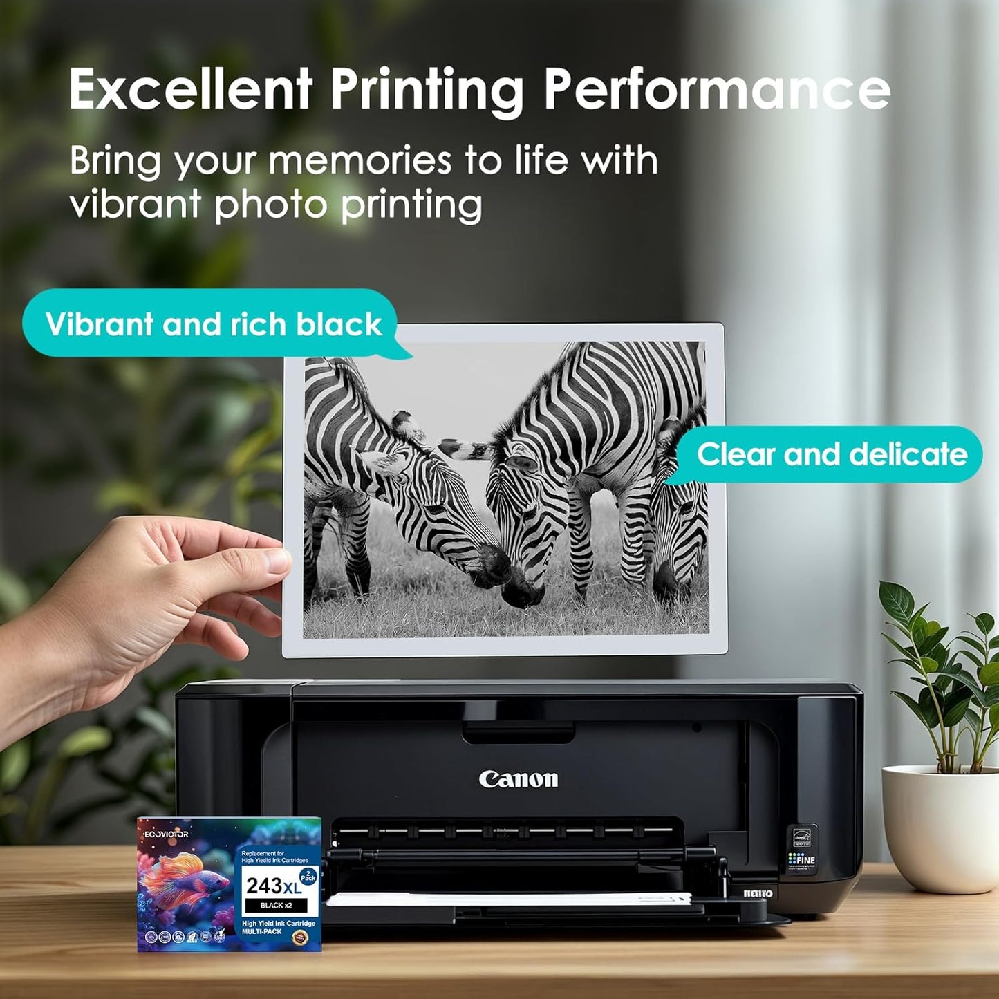 243XL Black Compatible Ink Cartridge Replacement for Canon 243 243XL PG-243 PG 243 XL Black Ink Cartridges for TR4520 TR4522 MG2522 MX490 MX492 TS3320 TS3120 TS202 MG2922 Printer (2-Pack)