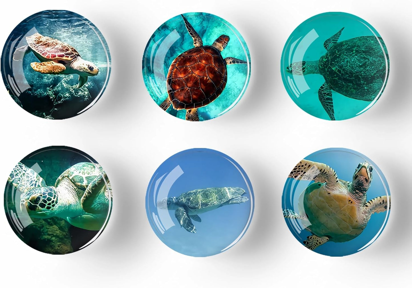 12Pcs Glass Refrigerator Magnet Fridge Sticker,Turtle Fridge Magnets Decoration for Crafts,Strong Fridge Magnets for Kitchen, School,Office Whiteboard, Cabinet and Dishwasher