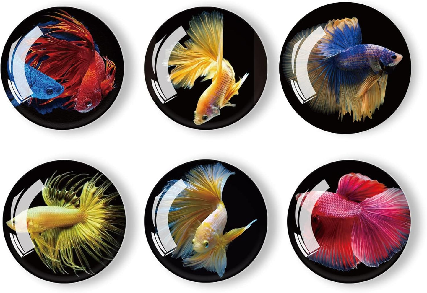 12Pcs Glass Strong Magnetic Refrigerator Magnet Fridge Sticker,Fish Fridge Magnets Decoration for Crafts,Strong Fridge Magnets for Kitchen, School,Office Whiteboard, Cabinet and Dishwasher
