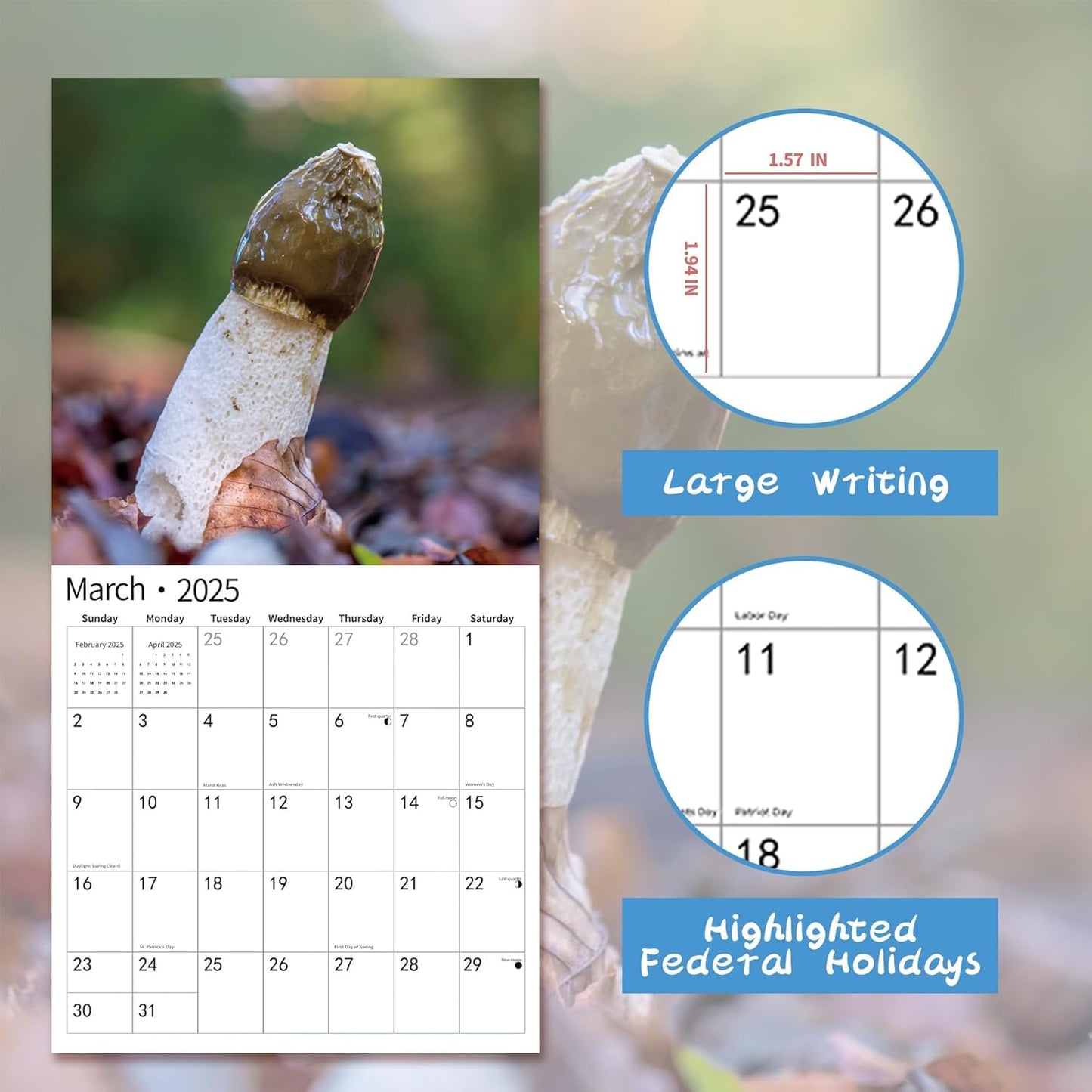 2025 Wall Calendar Funny Natures Dongs, January 2025 - December 2025, Funny Gag Gift for Adults, White Elephant Gift, 12 Months Organizer with D'ck Pics Nature Photos, 12" x 24" Opened