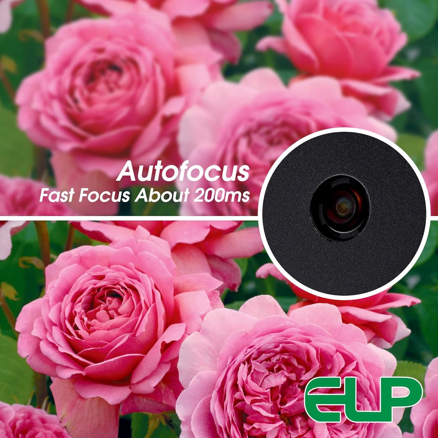 ELP 16MP Autofocus USB Camera with Metal Case - Mini UVC USB2.0 4K Webcam with 68 No Distortion Lens IMX298 Sensor for PC & Home Surveillance
