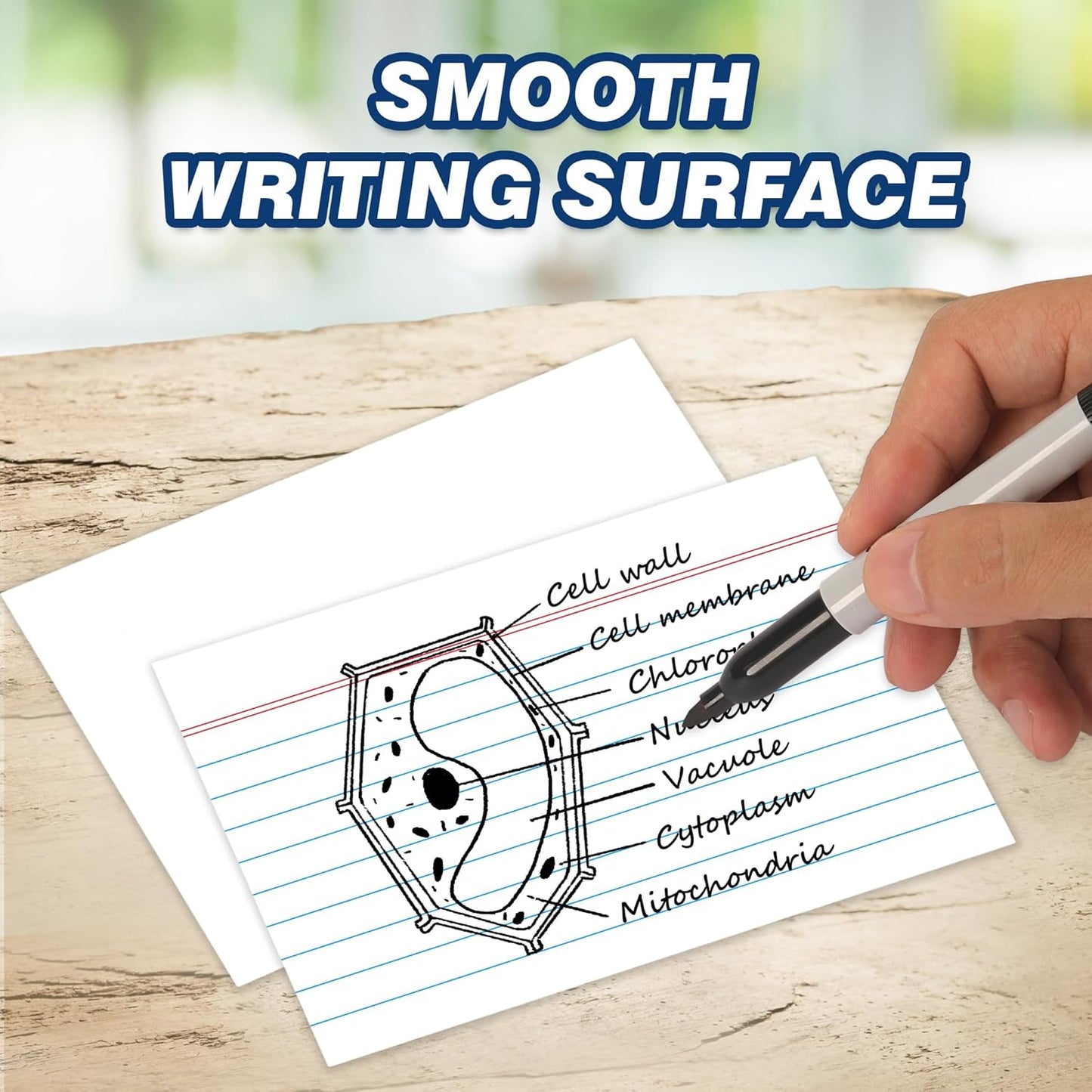 Chell Extra Heavyweight Ruled Index Cards 3x5 Inch, No Bleed-Through, 500 Count, Ruled Front and Blank Back, 74 lb. Cover Weight, White