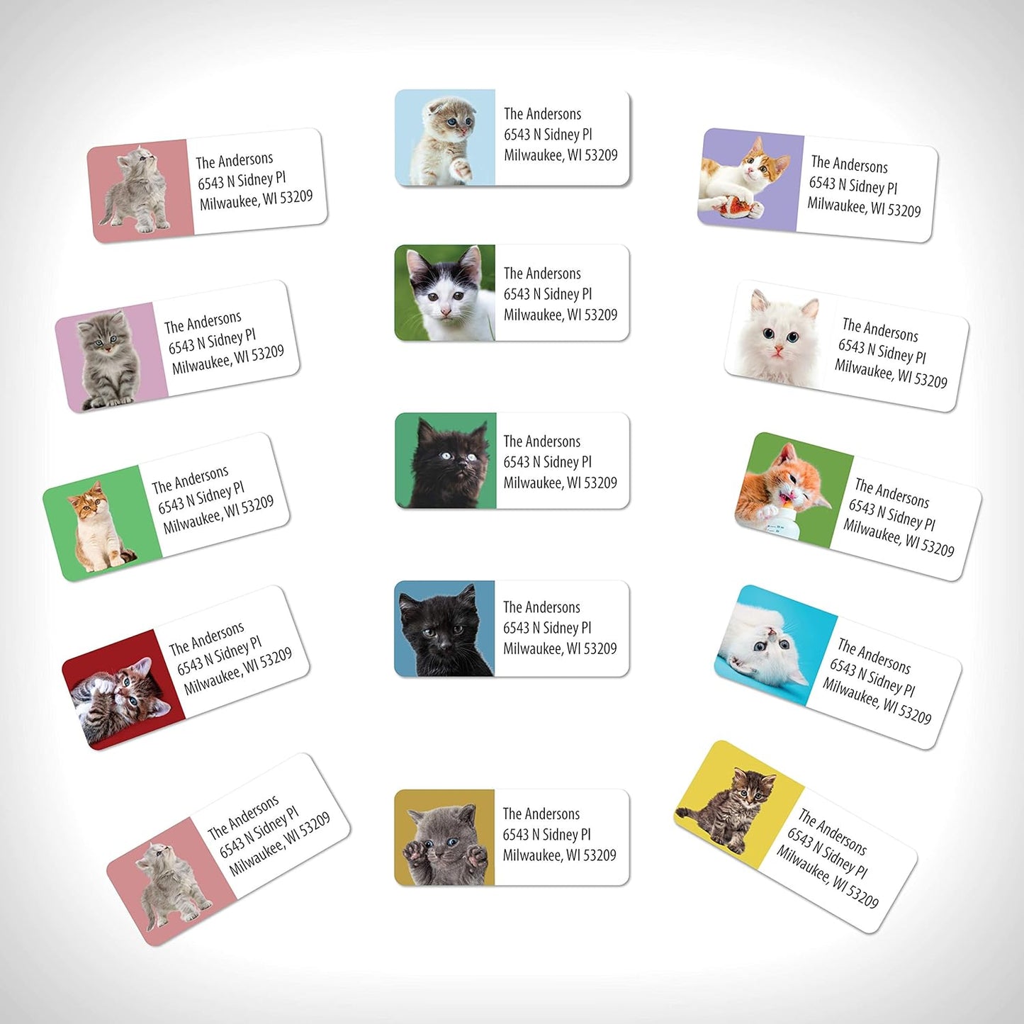 Customized Personalized Address Labels - Made in The USA by Kenco (500 Labels, Kittens)