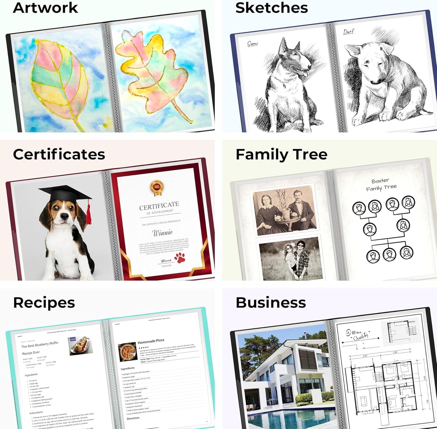 Dunwell Presentation Binder 12-Pocket, Displays 24 Pages, 8.5x11 Portfolio Binder with Plastic Sleeves, Storage and Organizer for Documents, Certificates, Projects, Photos (6 Pack, Aqua)